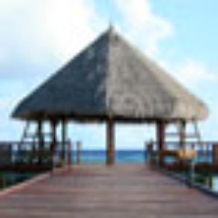 Cafe 20.3 On The Bayou